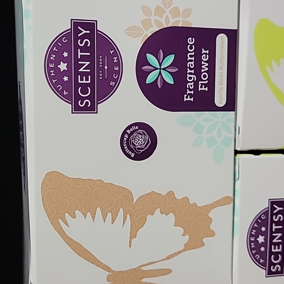 Scentsy Accessories Scentsy Vanilla Bean Buttercream Fragrance